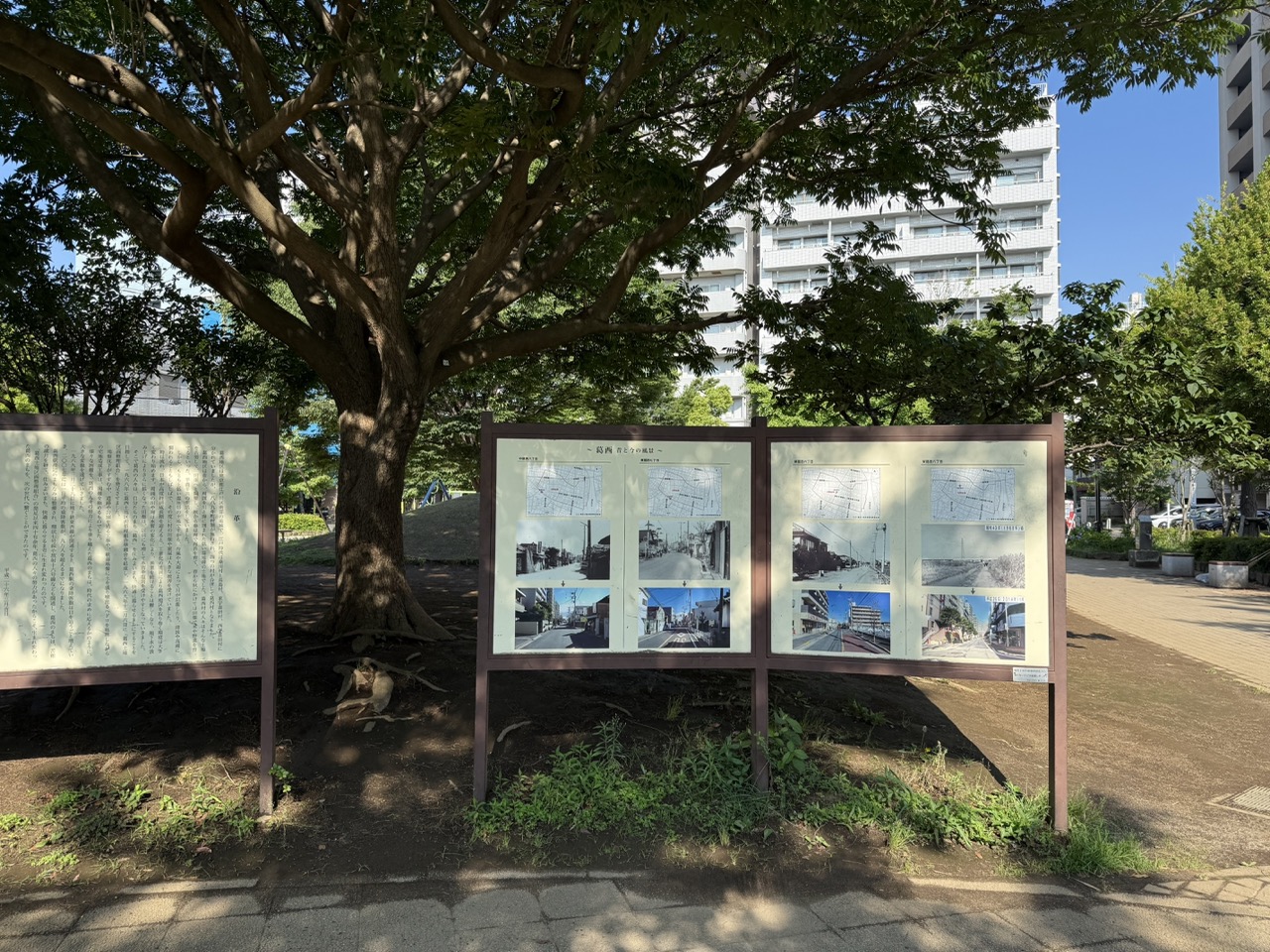 仲町公園 3