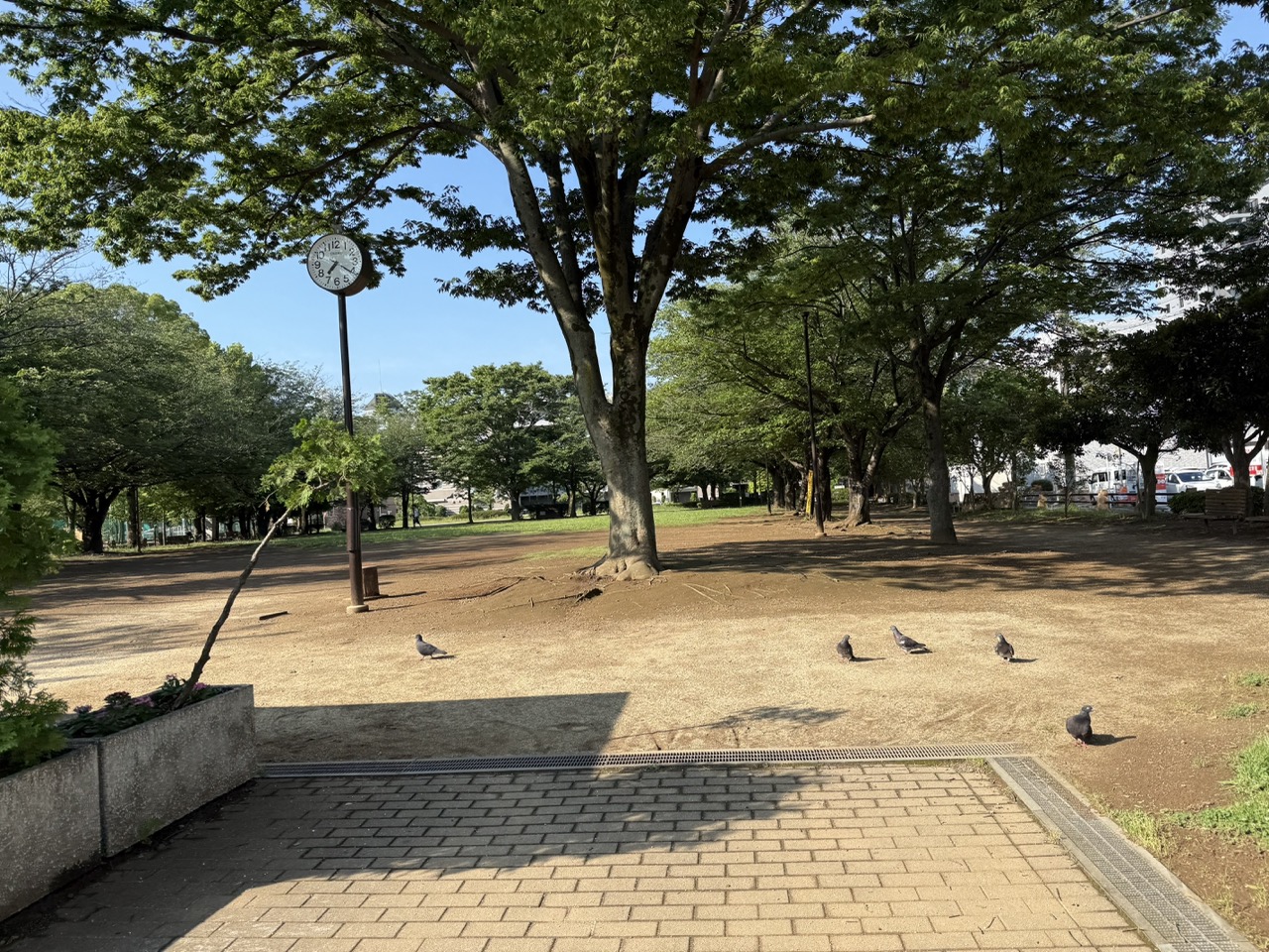 東葛西けやき公園 2