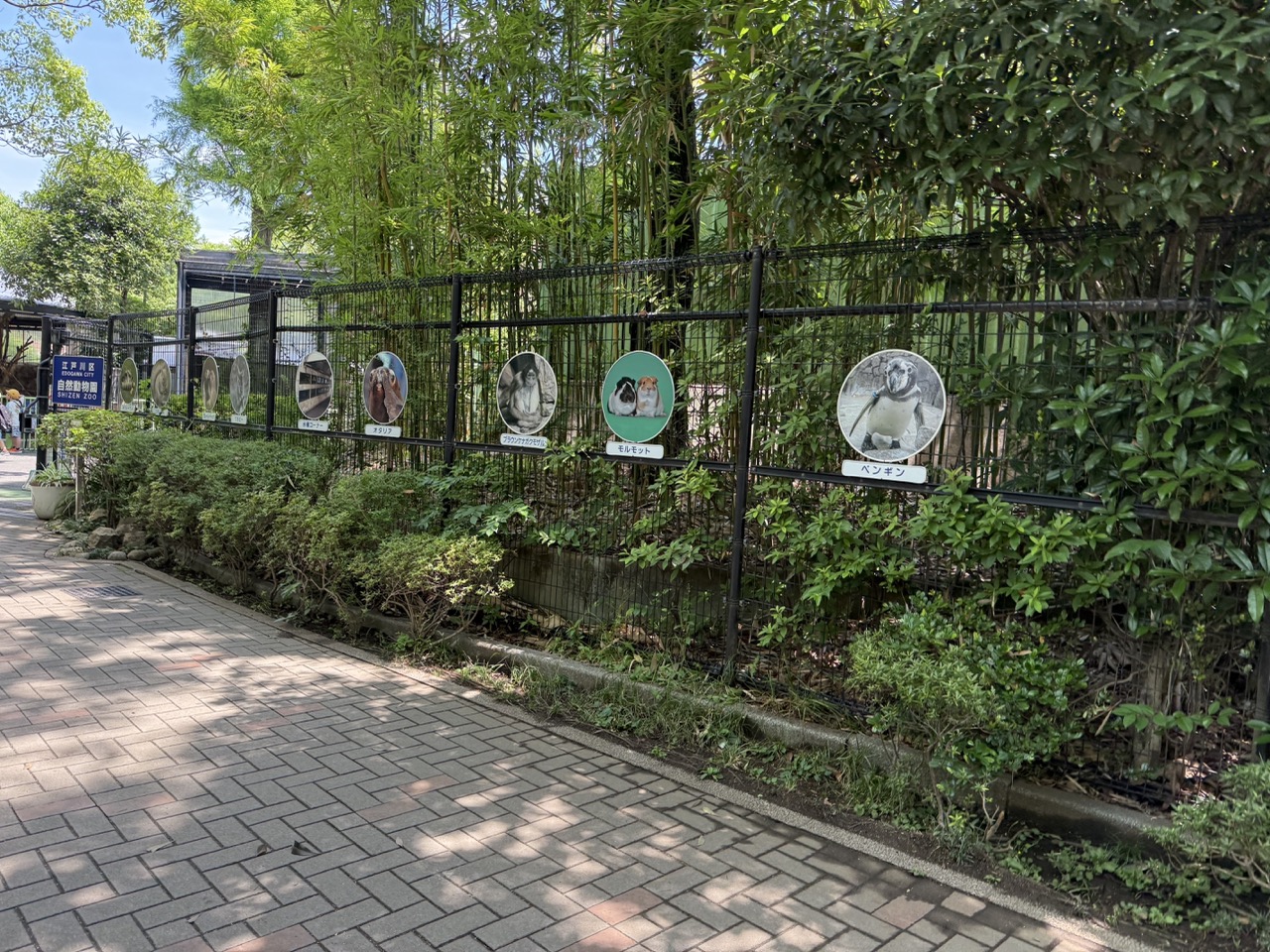 行船公園 2