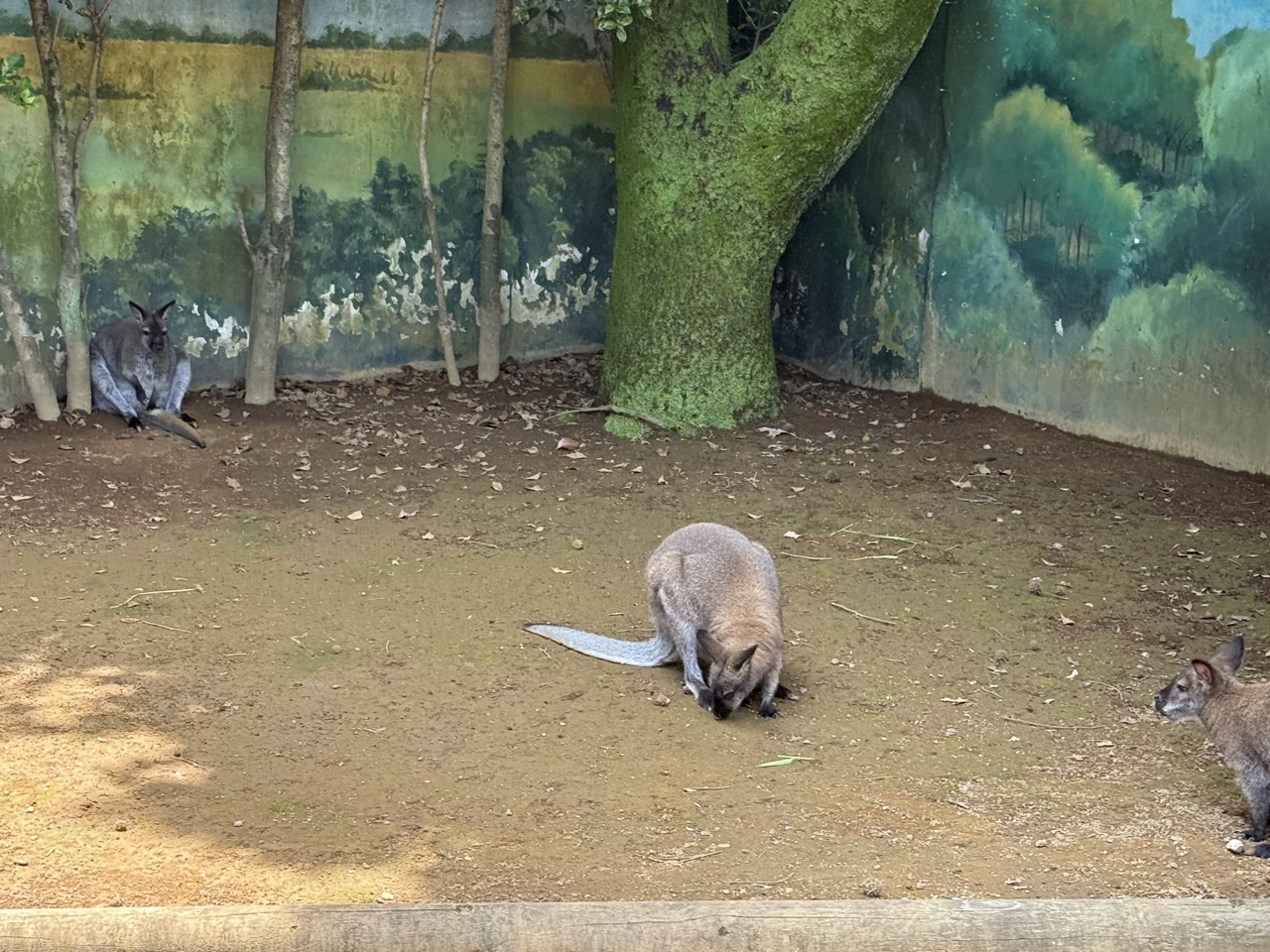 行船公園 3