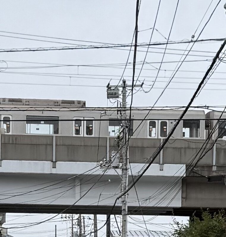 休日の東西線、すいた車内が高架を渡る