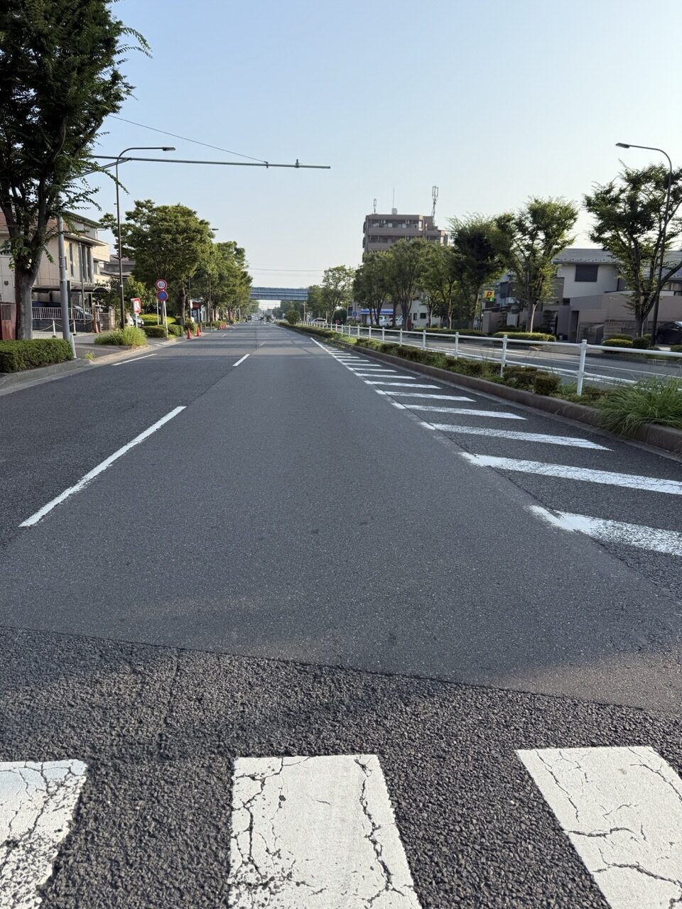 37度予報の朝、涼しいうちの散歩道