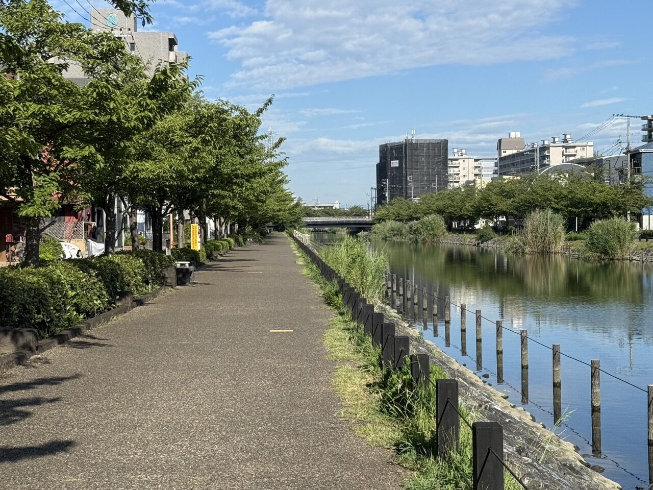 新川沿いの遊歩道