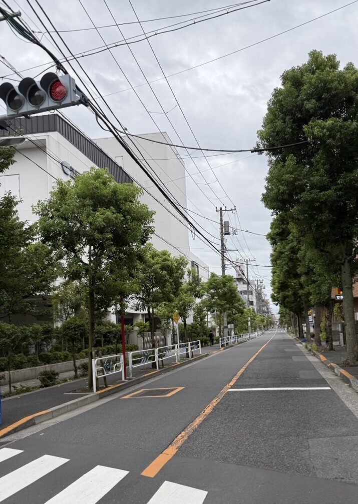 第二葛西小学校そばの、街路樹の通り