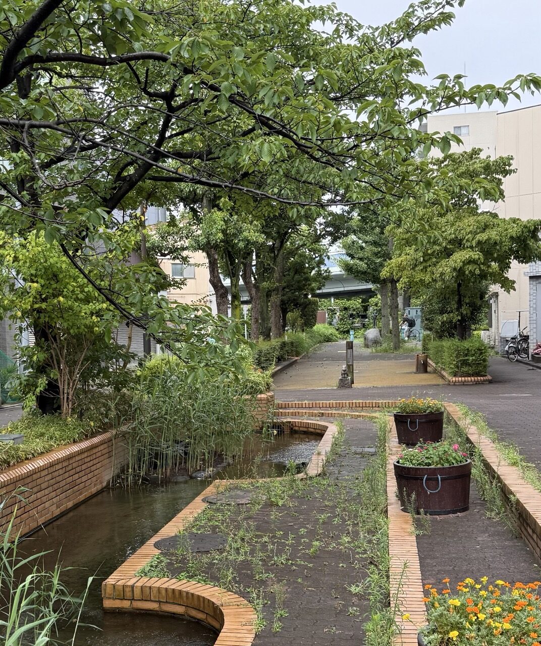 雨の朝、しっとりとした小さな公園