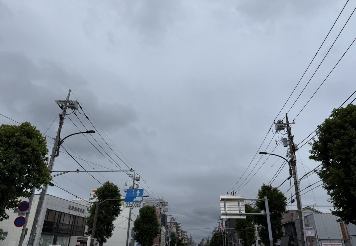 風があって少し涼しい日の大通り