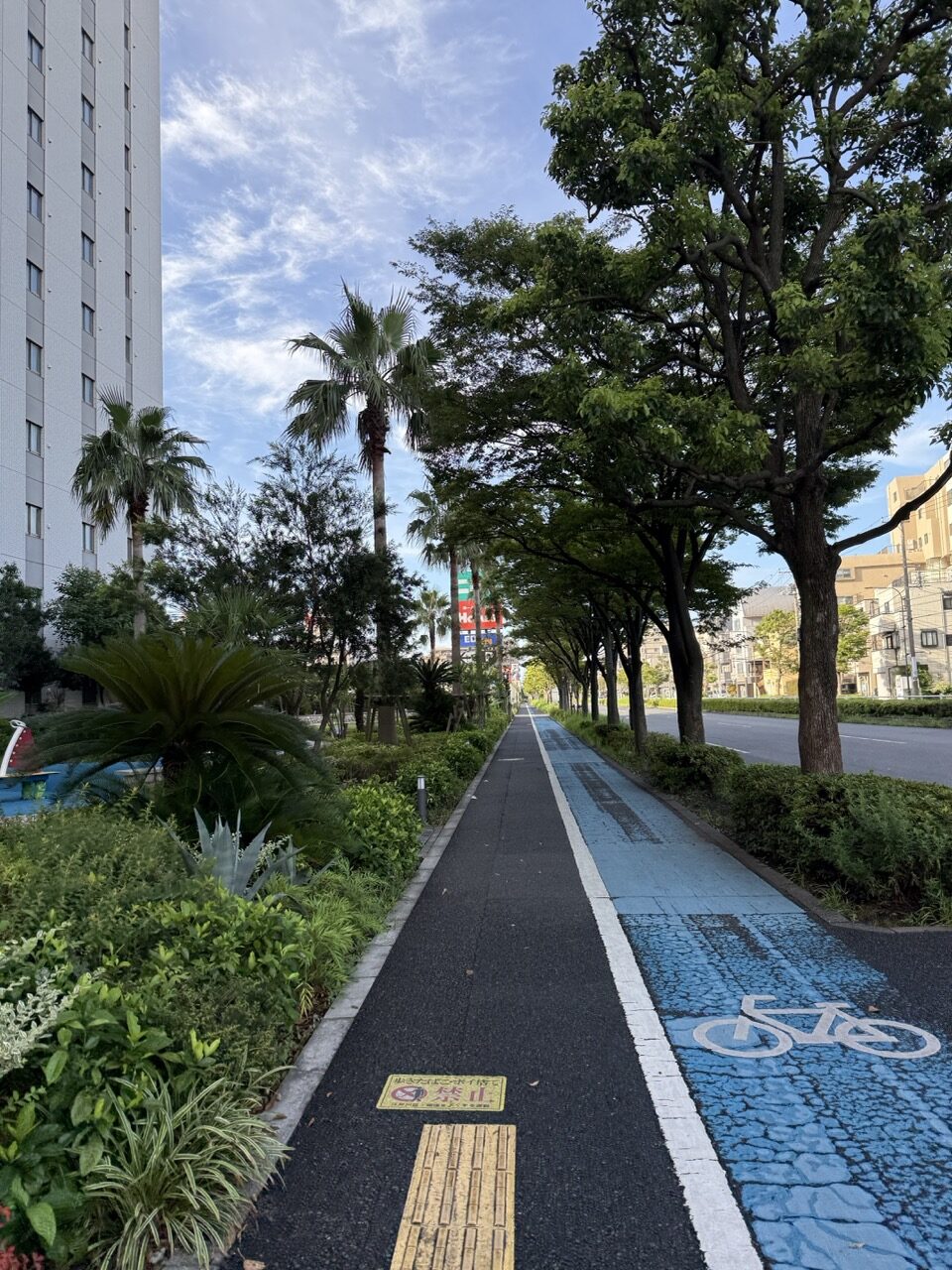 朝の散歩道と、お盆休みで空いた道路