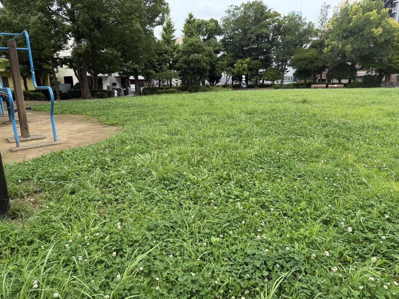 馬頭公園の芝生広場